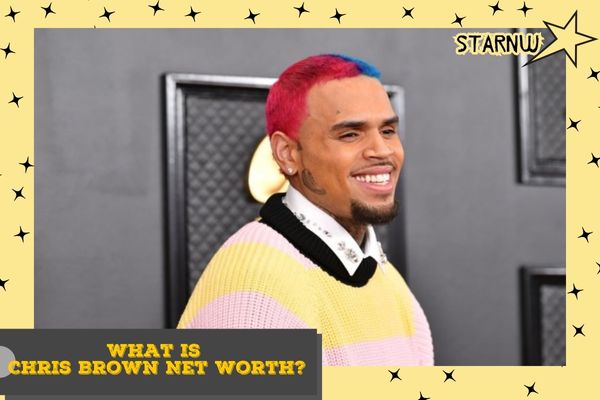 What is Chris Brown Net Worth